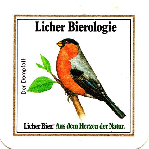 lich gi-he licher biero vgel eck 3b (quad185-der kuckuck)